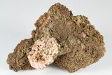 Fibrous Pink Wupatkiite Formation - Cameron, Arizona #186407-1